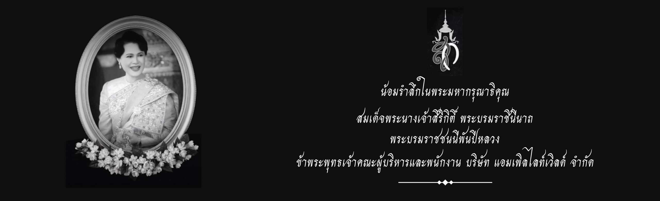 Banner_D-Lite_0