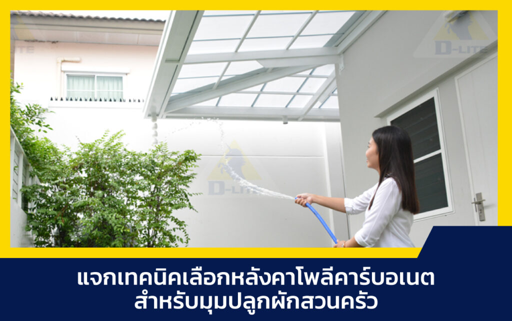 หลังคาโพลีคาร์บอเนต